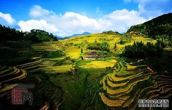福建被国办通报表扬了！这些地方将享受国家政策、资金等激励支持